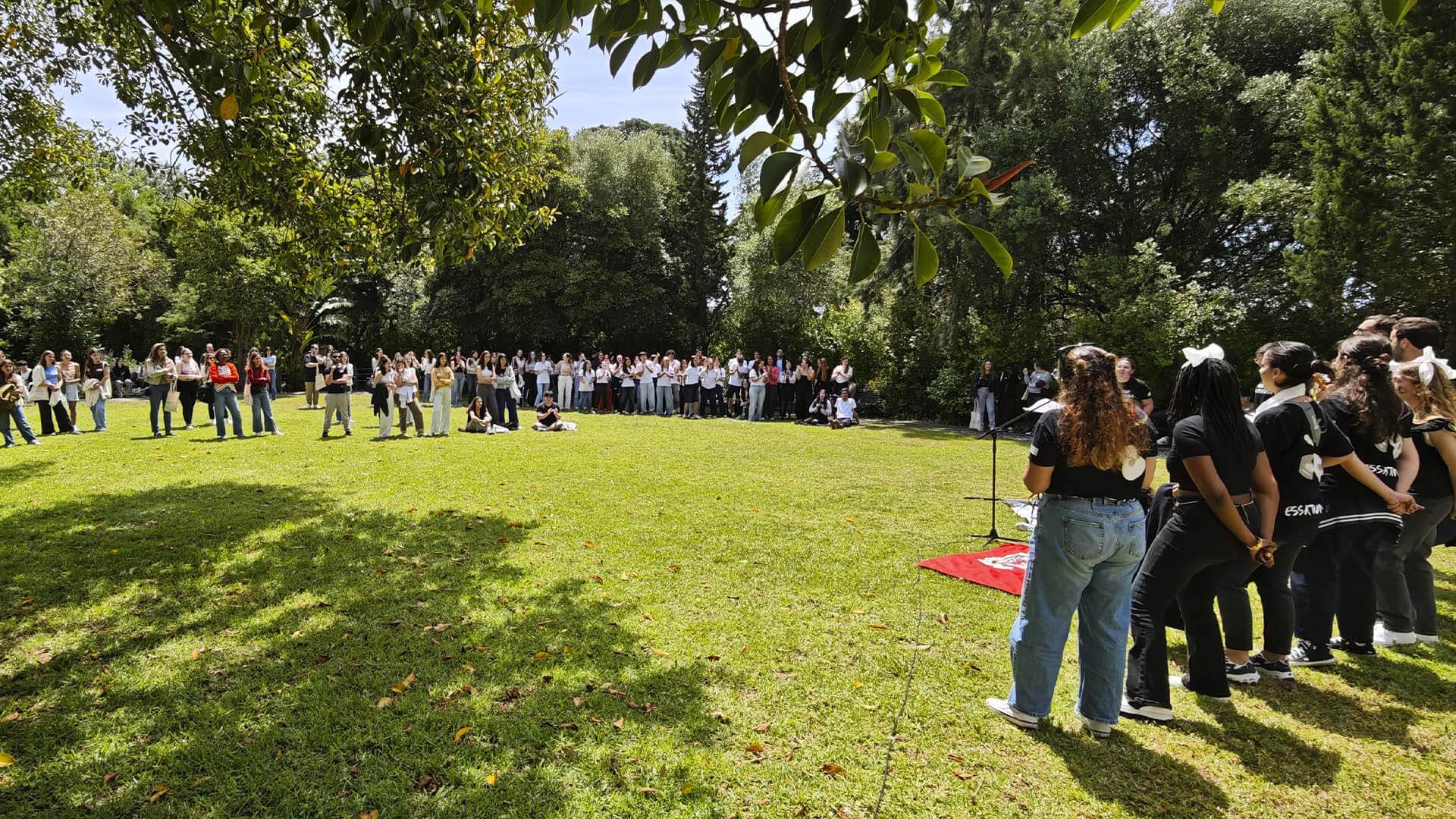 Conhecer a ESSAlcoitão de perto: assim foi o Open Day